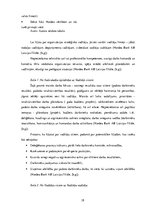 Prakses atskaite 'Prakses pārskats Nordea Bank AB Latvijas filiāle', 18.