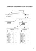 Referāts 'Personāla atlasē biežāk izmantojamās sociālās psiholoģijas pētīšanas metodes', 5.