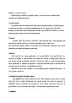 Referāts 'Diagnostiskā intervija', 3.