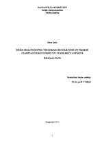 Diplomdarbs 'Mūža ieslodzījuma tiesiskais regulējums un prakse starptautisko normu un standar', 1.