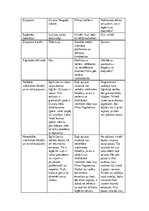 Konspekts 'Komunikācija', 4.