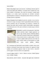 Referāts 'Galda klāšanas principi', 6.