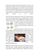 Referāts 'Galda klāšanas principi', 8.