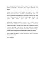 Referāts 'Galda klāšanas principi', 9.