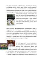 Referāts 'Galda klāšanas principi', 10.