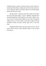 Referāts 'Galda klāšanas principi', 13.