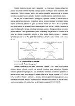 Diplomdarbs 'Hronisko slimnieku paškontroles ieviešanas projekts', 52.