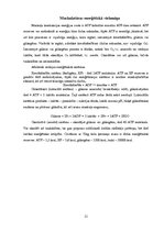 Referāts 'Slodžu fizioloģija', 11.