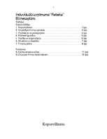 Biznesa plāns 'IU "Rebeka" ', 1.