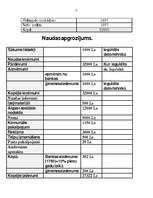 Biznesa plāns 'IU "Rebeka" ', 9.