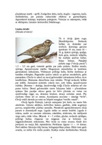 Referāts 'Fenoloģiskie pētījumi', 9.