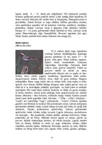 Referāts 'Fenoloģiskie pētījumi', 10.