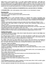 Konspekts 'Diskriminācijas aizliegums Eiropas Savienības tiesībās', 6.