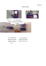 Referāts 'Olbaltumvielu noteikšana pienā. Zinātniski pētnieciskais darbs ķīmijā', 25.