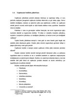 Diplomdarbs 'Finanšu vadība SIA "XXX"', 19.