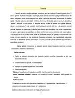 Referāts 'Pusaudžu perioda ietekme uz savstarpējām attiecībām', 1.