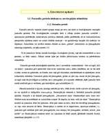 Referāts 'Pusaudžu perioda ietekme uz savstarpējām attiecībām', 2.