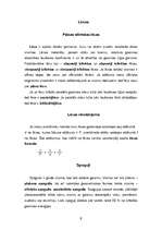 Referāts 'Optika', 6.