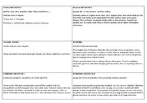 Konspekts 'Romāns un filma "Jelgava 94"', 2.