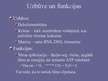 Prezentācija 'Eikariotiskas šūnas uzbūve', 35.