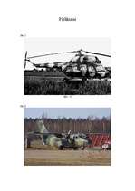 Referāts 'Latvijas ceļš uz NATO', 19.