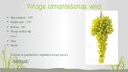 Prezentācija 'Pētnieciskais darbs pārtikas ķīmijā - vīnogas un mieži, vīns un alus', 3.