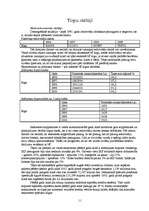 Referāts 'SIA "SKET" izveides plāns', 11.