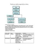 Referāts 'SIA "SKET" izveides plāns', 19.