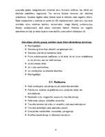 Referāts 'Alkoholisko dzērienu sastāvs un ietekme uz jauniešu organismu', 7.