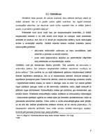 Referāts 'Ieskats starptautiski politiski ekonomiskajā sistēmā mūsdienās', 9.