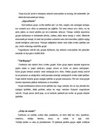 Prakses atskaite 'Efektīvās komunikācijas treniņa prakses atskaite', 17.