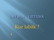 Prezentācija 'Lietuvas un Latvijas salīdzinājums', 1.
