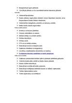 Referāts 'Iekšējā audita lieta SIA "MRI Revision"', 4.