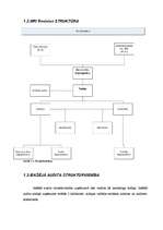 Referāts 'Iekšējā audita lieta SIA "MRI Revision"', 5.