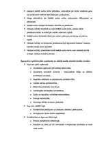 Referāts 'Iekšējā audita lieta SIA "MRI Revision"', 7.