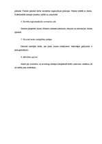 Referāts 'Iekšējā audita lieta SIA "MRI Revision"', 13.