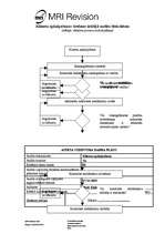 Referāts 'Iekšējā audita lieta SIA "MRI Revision"', 21.