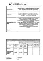 Referāts 'Iekšējā audita lieta SIA "MRI Revision"', 22.