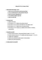 Referāts 'Iekšējā audita lieta SIA "MRI Revision"', 28.