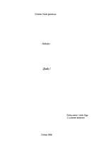 Referāts 'Jods', 1.