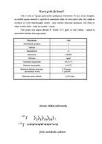 Referāts 'Jods', 3.