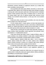 Referāts 'Uzņēmuma veidošana', 15.