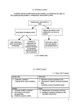 Referāts 'Velosipēdu celiņa ierīkošana Salaspils pilsētā', 6.