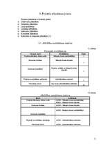 Referāts 'Velosipēdu celiņa ierīkošana Salaspils pilsētā', 11.