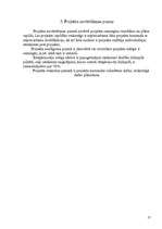 Referāts 'Velosipēdu celiņa ierīkošana Salaspils pilsētā', 17.