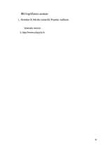 Referāts 'Velosipēdu celiņa ierīkošana Salaspils pilsētā', 19.