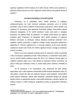 Referāts 'Pamatlīdzekļi un to uzskaite', 13.