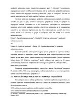 Referāts 'Pamatlīdzekļi un to uzskaite', 19.