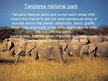 Prezentācija 'Tanzania', 6.