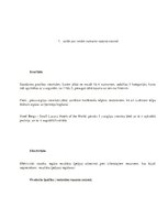 Biznesa plāns 'Viesnīcas restorāna vasaras āra terases paplašināšana', 12.